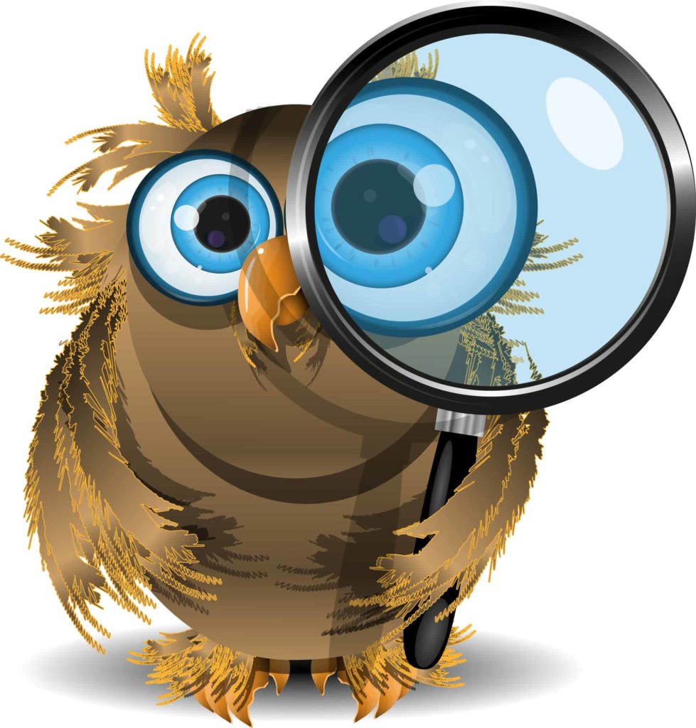 image of owl with magnifying glass