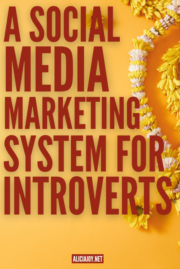 image of text box social media marketing system for introverts aliciajoy.net